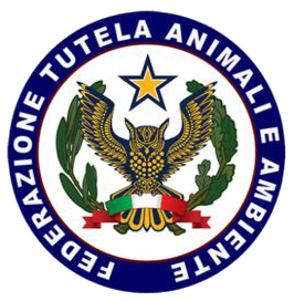 FTAA